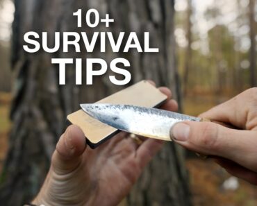 10+ Bushcraft Tips & Survival Skills | Knife | Fishing | Food