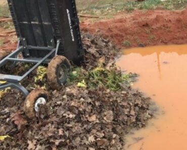 Sourcing Compost Material for the Survival Garden