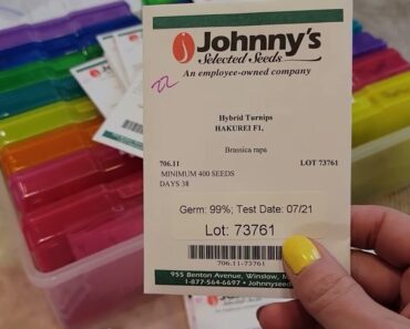 2022 Johnny's Seed Order | Prepper Planning | New Things to Try in the Garden