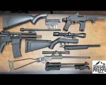 Top 8 Take Down Survival Rifles in 22 LR