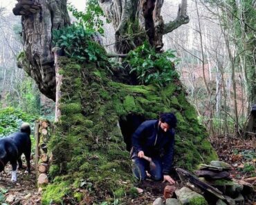 7 Days Solo Survival Camping, Building Warm Bushcraft Shelter, Clay Fireplace Primitive Cooking