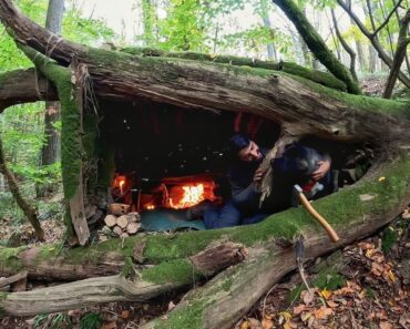 7 Days Solo Survival Camping In Rain Forest, Building Warm Bushcraft Shelter, Clay Fireplace Cooking