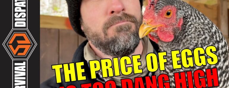 Survival Dispatch News 1-16-23: Tips For Prepping & Surviving Current Events Survival Dispatch News 1-16-23: Tips For Prepping & Surviving Current Events