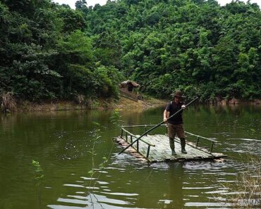 Make shrimp traps and harvest wild pepper: Survival Alone | EP.196