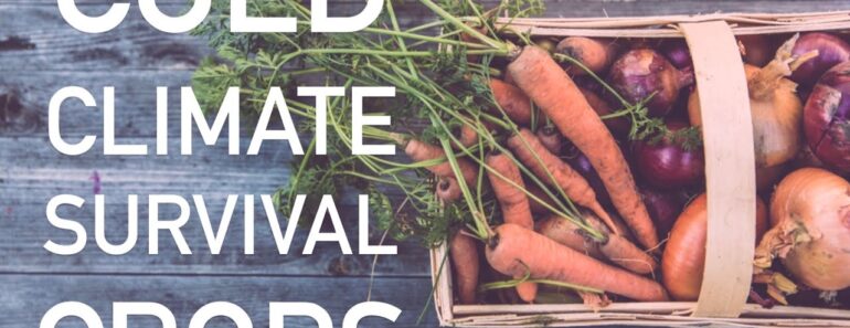 Survival Garden Crops To Grow In Canada. MUST WATCH. | Gardening in Canada Survival Garden Crops To Grow In Canada. MUST WATCH. | Gardening in Canada