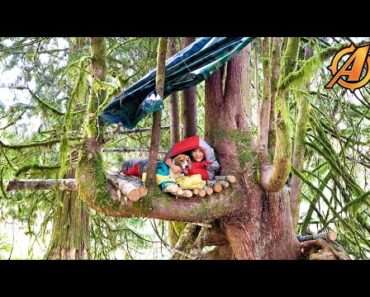 Building and Camping in Bushcraft Survival Tree Shelter
