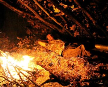 How to Build a Bed for Outdoor Shelter | Survival Skills