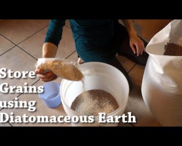 Diatomaceous Earth for Storing Grains // Food Storage // Prepper