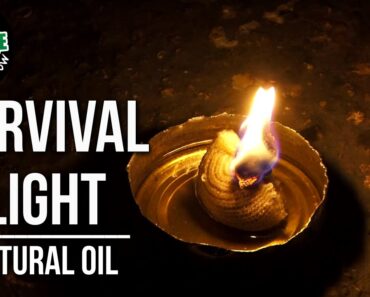 How to make Survival Fire with natural oil | TA Outdoors