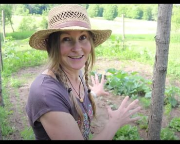 A Prepper's Garden- What I Planted and Why