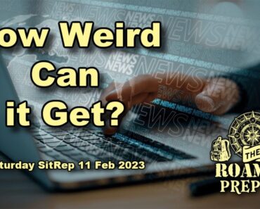 How Weird can it get? (Sitrep 11 Feb 2023)