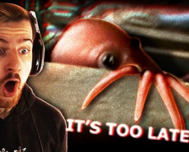 VITA CARNIS – How to survive a mimic ATTACK. (REACTION)