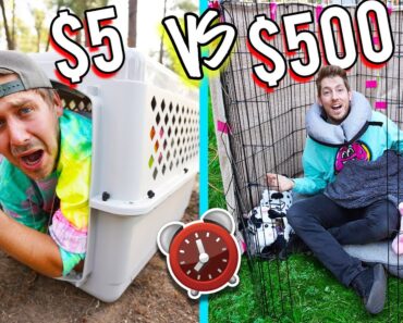 OVERNIGHT SURVIVAL CHALLENGE *PET STORE ITEMS ONLY*