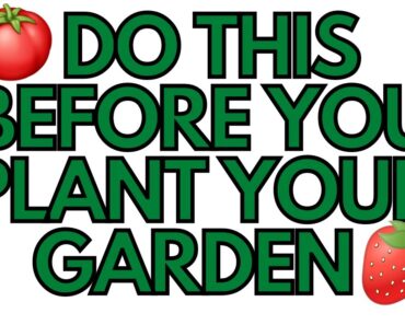 🍅 Do This BEFORE You Plant Your Garden 🍓