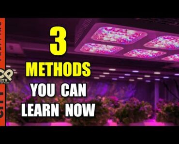 How to Grow an Indoor Garden During Winter