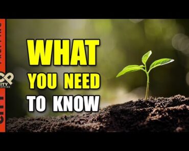 The Ultimate Garden Soil Guide for Successful Growing (pt 2)