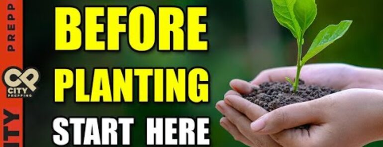 Gardening in Apartments: 3 Rules to Obey (pt 1) Gardening in Apartments: 3 Rules to Obey (pt 1)