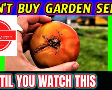 The Prepper Seeds that Gardening Companies Fear – 30 Day Preparedness Collaboration – Heirloom Seeds