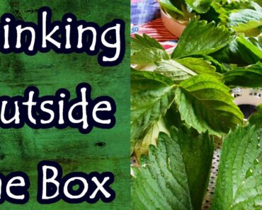 Think Outside the Box