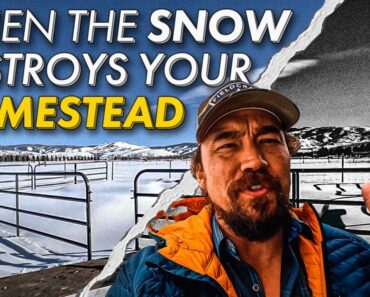 Winter Disaster for the Homestead