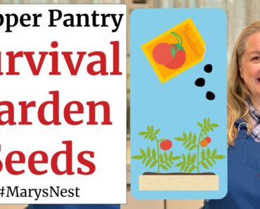 3 Best Survival Garden Seed Collections to Buy NOW to Stock in Your Prepper Pantry