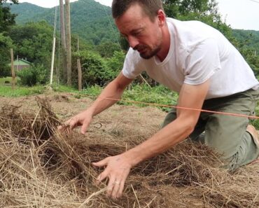 Cover Your Survival Garden With Hay And This Will Happen