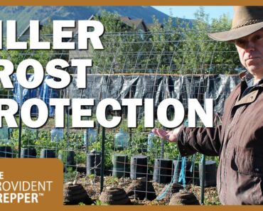 Hot Ideas for Protecting Your Plants from Late Spring Frosts