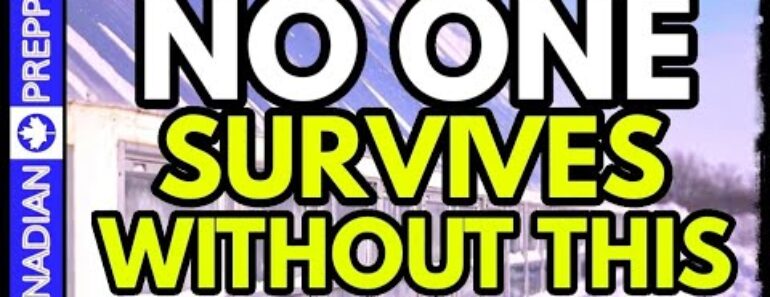 Grow Food in -30°| Apocalypse Passive Solar Greenhouse