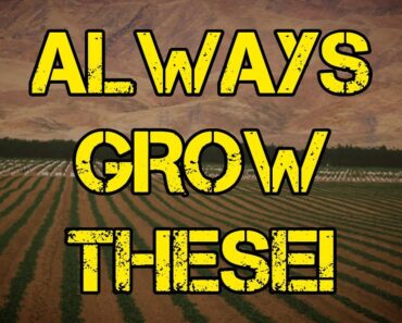 Top 5 Things You Should Always Grow In Your Garden As A Prepper!