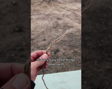 Survival tool that you can start fires with too!