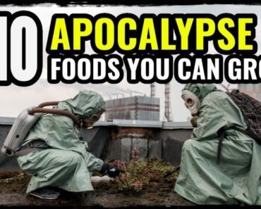 How to Grow Food for Survival
