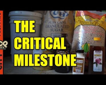 3 Months Is All You Need As A Prepper – Here’s Why