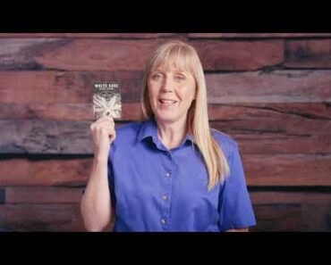 White Sage Herb Seeds