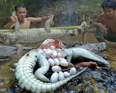 Amazing Two Brother Catch Crocodile Egg to Cook Eating to Survival