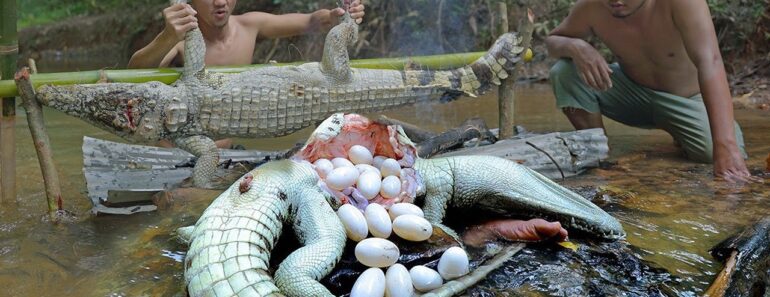 Amazing Two Brother Catch Crocodile Egg to Cook Eating to Survival