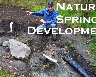 Developing a Natural Spring | Off-Grid Water | Well | Prepping | WROL | Solar Pump | Heartway Farms