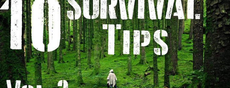 10 Survival Tips That May Save Your Life 10 Survival Tips That May Save Your Life