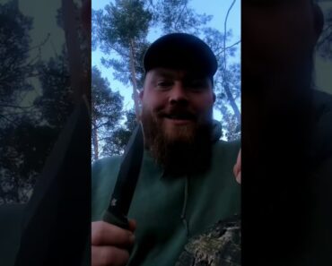 Der ultimative Messertest. #outdoors #bushcraft #survival #shorts