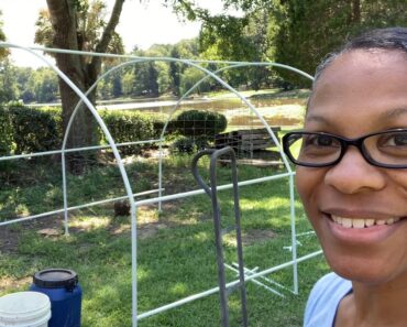 Prepping for year-round gardening: Watch us build the “real” GreenHouse Lounge!