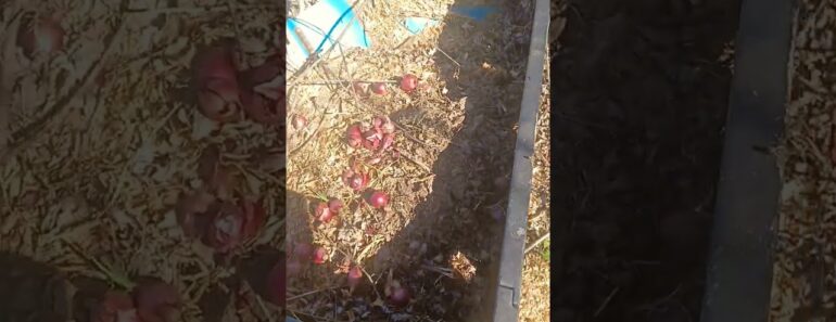 Compost Bin #garden #gardening #compost #preparation #prepper #prepping #survival #security  #tips