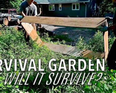 6 Tips for Growing Survival Garden Crops – Making Your Home or Homestead More Sustainable