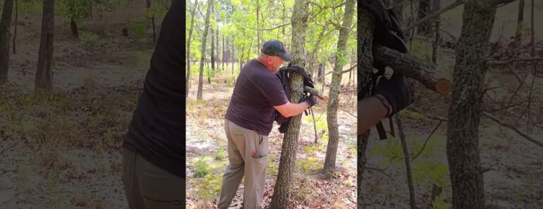 Hang Your Backpack on a Tree Using Just a Stick! Hang Your Backpack on a Tree Using Just a Stick!
