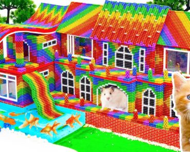 Build Survival Mud House With Rainbow Water Slide to Garden Swimming Pool From Magnetic Balls