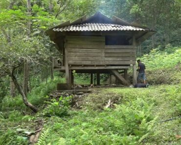 Survival instinct, looking for a home to survive alone in the wild | Ep 1