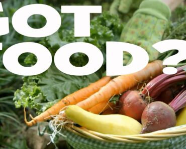 Top 20 SURVIVAL GARDEN Crops