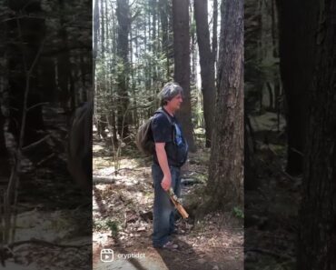 Try this every time you go outdoors #ctcryptid #bigfoot #onlocation