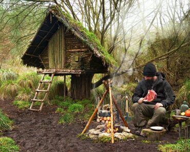 Building wood survival shelter in wildlands | Bushcraft & Campfire grilled meat