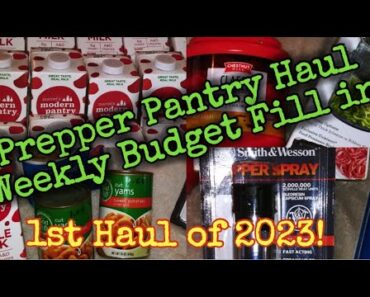 Prepper Pantry Haul Weekly Budget Fill in/First Haul of 2023/Keep Stacking it to the Rafters!!!