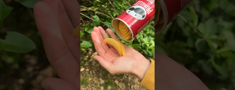 Bushcraft skills #survival #camping #outdoors #bushcraft #forest