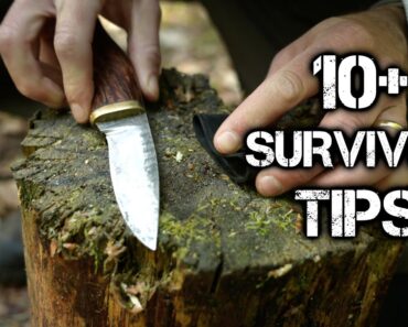 10+ Bushcraft Tips: Upside Down Fire | Survival Skills